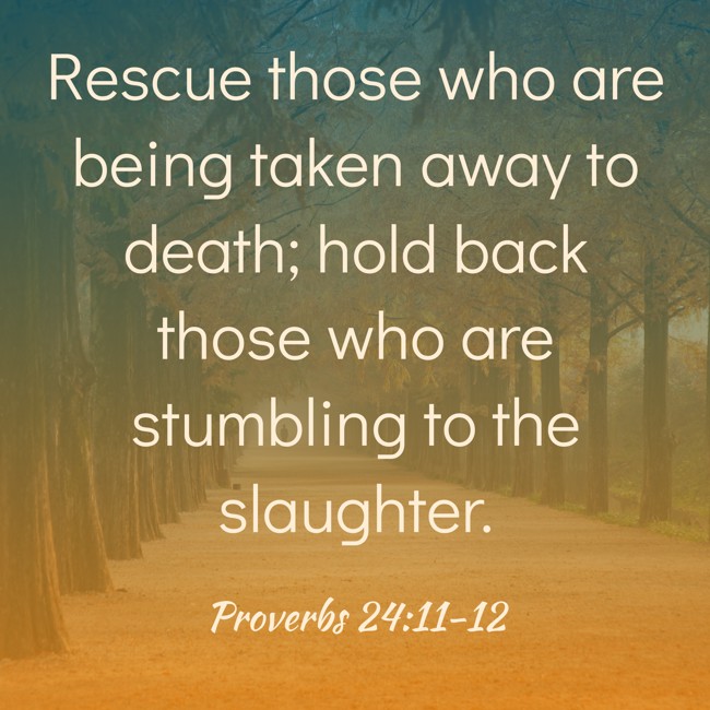  Rescue those who are being taken away to death; hold back those who are stumbling to the slaughter.   - Proverbs 24:11-12 