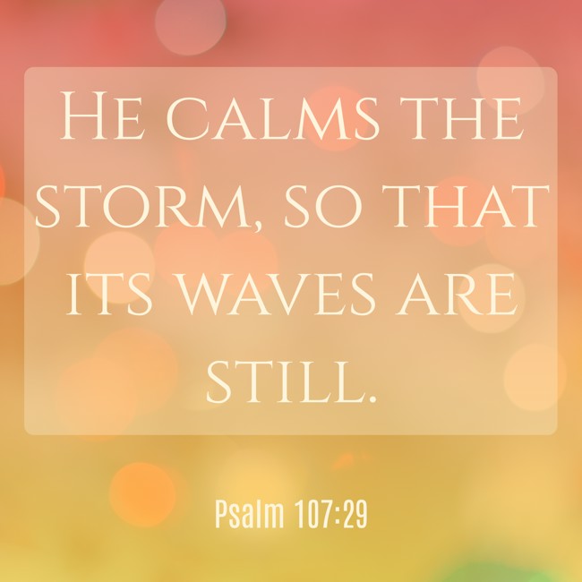 He calms the storm, so that its waves are still. - Psalm 107:29