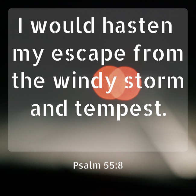 I would hasten my escape from the windy storm and tempest. - Psalm 55:8