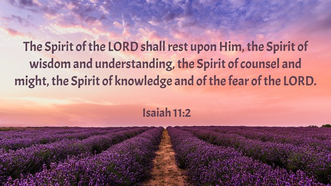 The Spirit of the LORD shall rest upon Him, the Spirit of wisdom and understanding, the Spirit of counsel and might, the Spirit of knowledge and of the fear of the LORD. - Isaiah 11:2