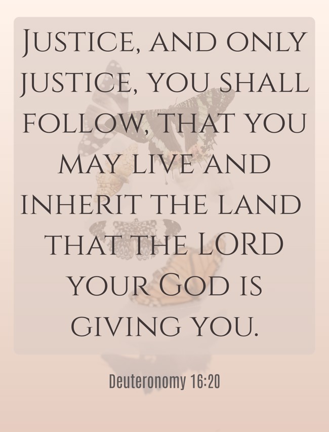  Justice, and only justice, you shall follow, that you may live and inherit the land that the LORD your God is giving you.   - Deuteronomy 16:20 