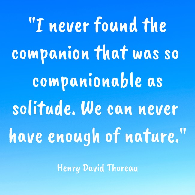 I never found the companion that was so companionable as solitude. We can never have enough of nature. - Henry David Thoreau