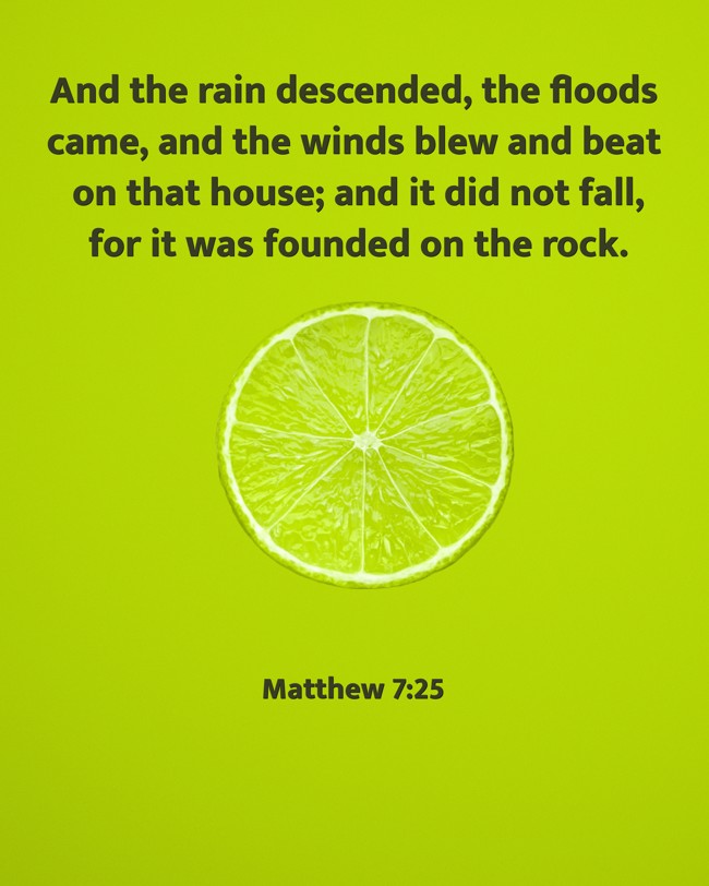 And the rain descended, the floods came, and the winds blew and beat on that house; and it did not fall, for it was founded on the rock. - Matthew 7:25