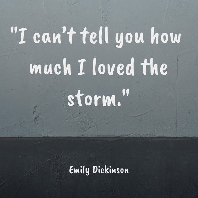 I can’t tell you how much I loved the storm. - Emily Dickinson