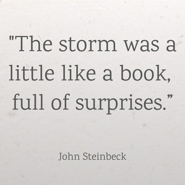 The storm was a little like a book, full of surprises.” - John Steinbeck
