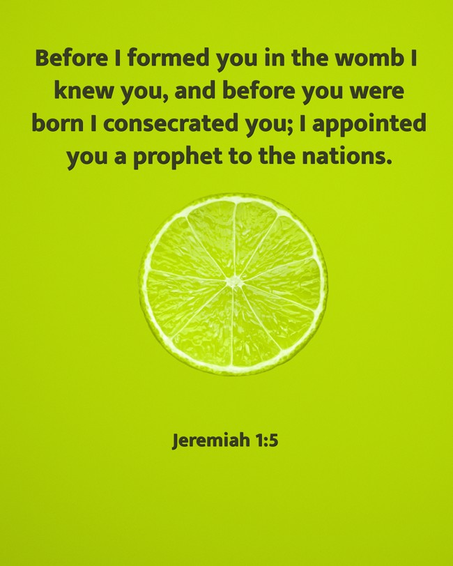 Before I formed you in the womb I knew you, and before you were born I consecrated you; I appointed you a prophet to the nations. - Jeremiah 1:5