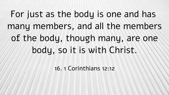 For just as the body is one and has many members, and all the members of the body, though many, are one body, so it is with Christ. - 16. 1 Corinthians 12:12