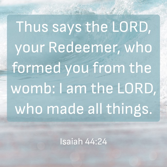 Thus says the LORD, your Redeemer, who formed you from the womb: I am the LORD, who made all things. - Isaiah 44:24