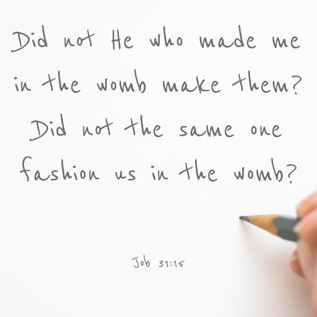 Did not He who made me in the womb make them? Did not the same one fashion us in the womb? - Job 31:15
