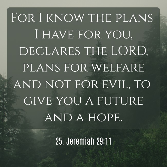 For I know the plans I have for you, declares the LORD, plans for welfare and not for evil, to give you a future and a hope. - 25. Jeremiah 29:11