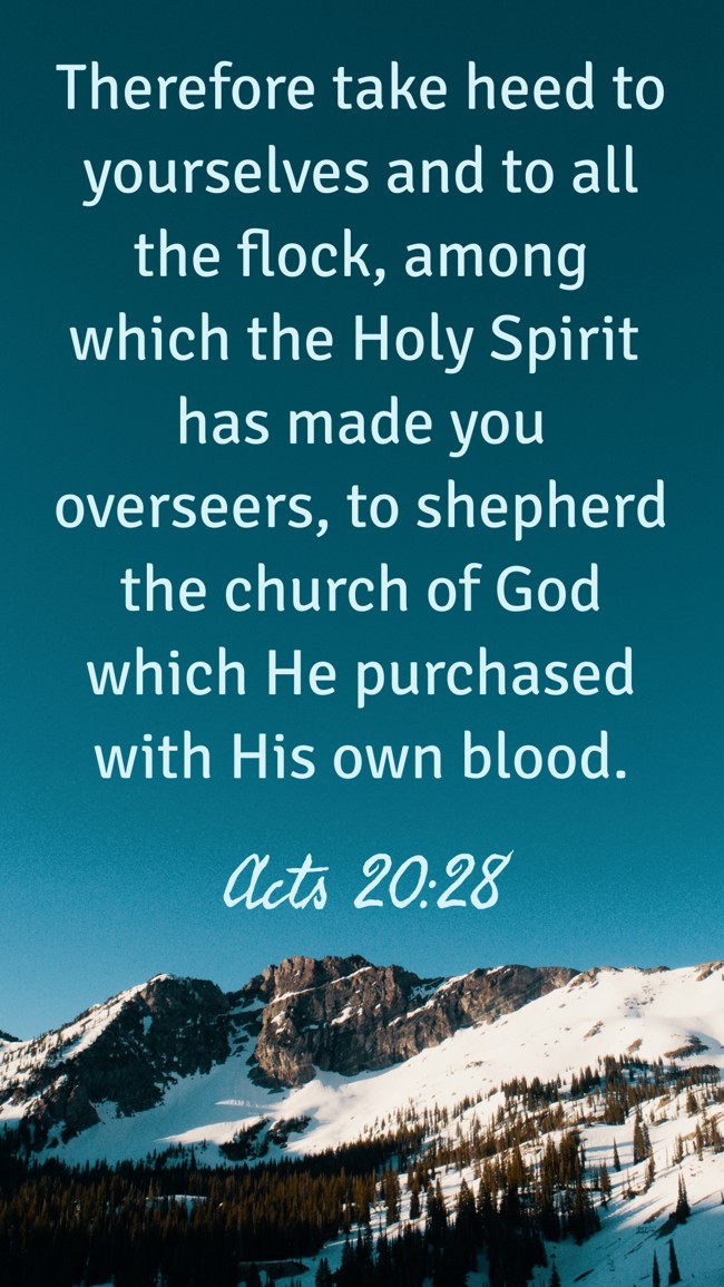 Therefore take heed to yourselves and to all the flock, among which the Holy Spirit has made you overseers, to shepherd the church of God which He purchased with His own blood. - Acts 20:28