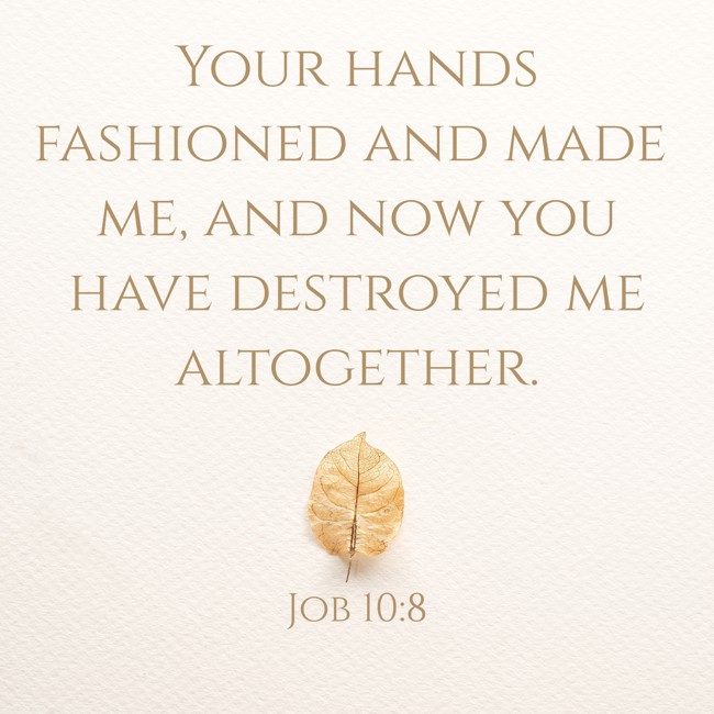 Your hands fashioned and made me, and now you have destroyed me altogether. - Job 10:8