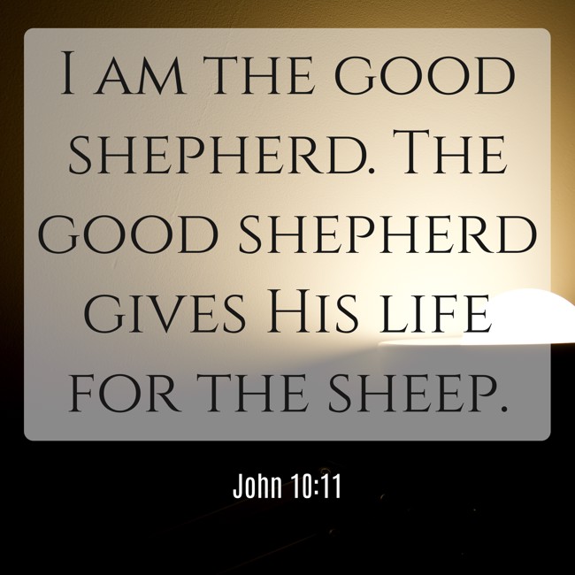 I am the good shepherd. The good shepherd gives His life for the sheep. - John 10:11