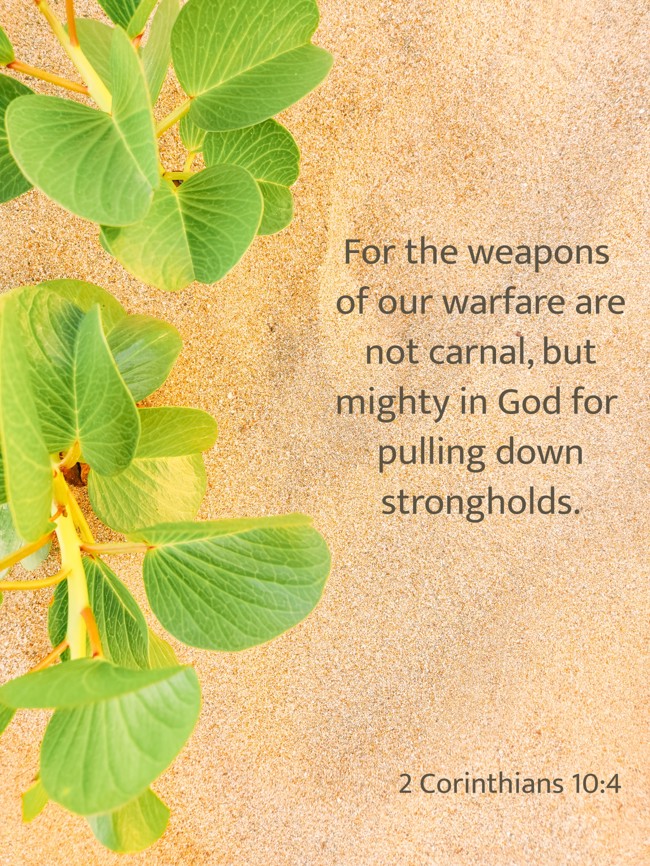 For the weapons of our warfare are not carnal, but mighty in God for pulling down strongholds. - 2 Corinthians 10:4