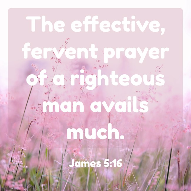 The effective, fervent prayer of a righteous man avails much. - James 5:16