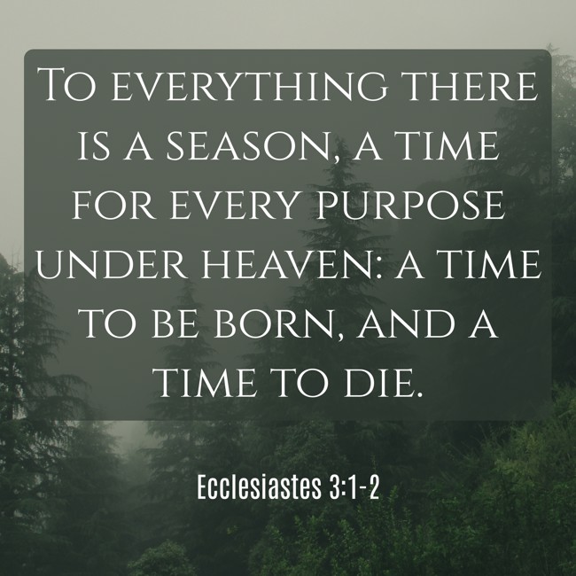 To everything there is a season, a time for every purpose under heaven: a time to be born, and a time to die. - Ecclesiastes 3:1-2