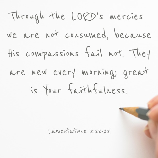 Through the LORD's mercies we are not consumed, because His compassions fail not. They are new every morning; great is Your faithfulness. - Lamentations 3:22-23