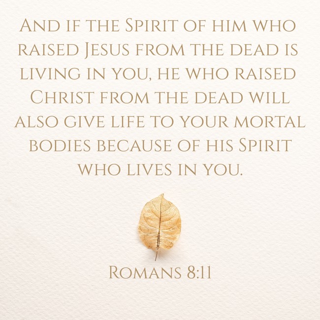 And if the Spirit of him who raised Jesus from the dead is living in you, he who raised Christ from the dead will also give life to your mortal bodies because of his Spirit who lives in you. - Romans 8:11
