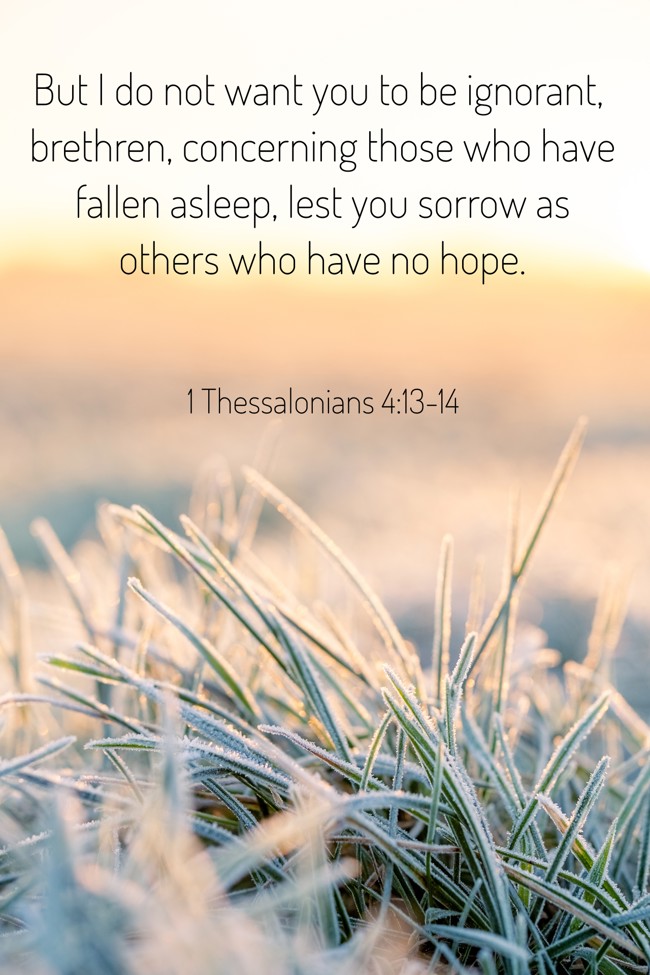 But I do not want you to be ignorant, brethren, concerning those who have fallen asleep, lest you sorrow as others who have no hope. - 1 Thessalonians 4:13-14