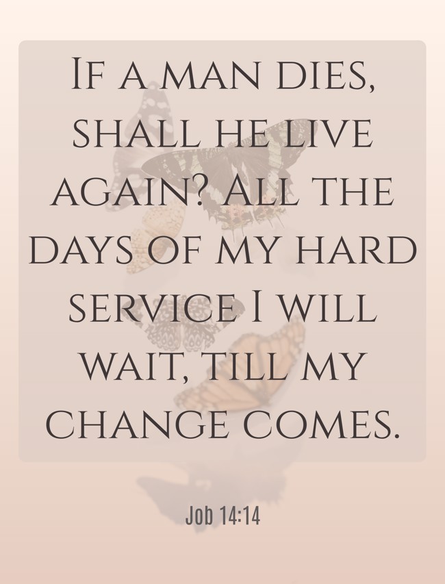 If a man dies, shall he live again? All the days of my hard service I will wait, till my change comes. - Job 14:14