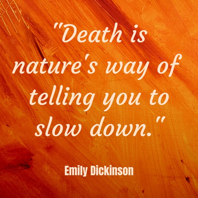 Death is nature's way of telling you to slow down. - Emily Dickinson