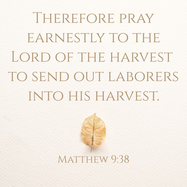 Therefore pray earnestly to the Lord of the harvest to send out laborers into his harvest. - Matthew 9:38