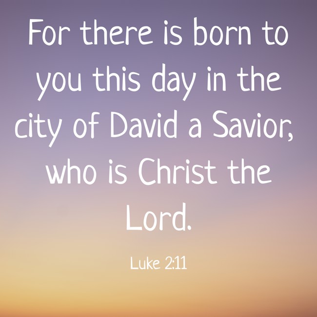 For there is born to you this day in the city of David a Savior, who is Christ the Lord. - Luke 2:11