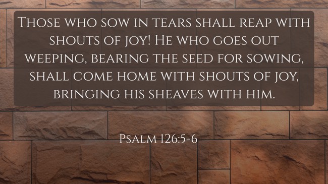 Those who sow in tears shall reap with shouts of joy! He who goes out weeping, bearing the seed for sowing, shall come home with shouts of joy, bringing his sheaves with him. - Psalm 126:5-6