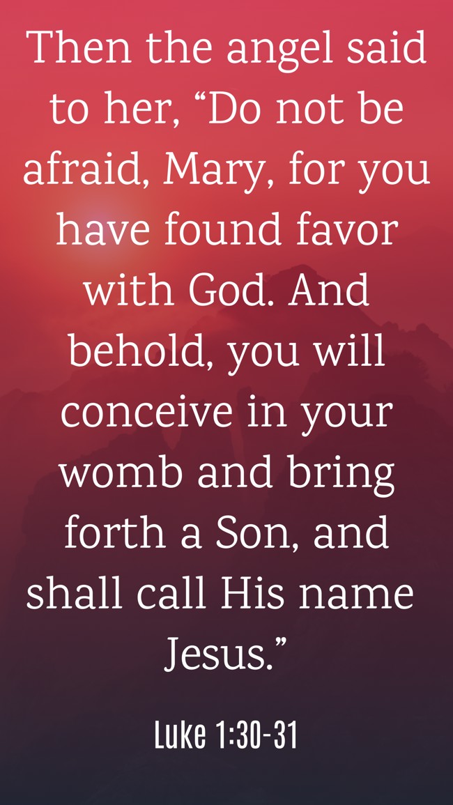 Then the angel said to her, “Do not be afraid, Mary, for you have found favor with God. And behold, you will conceive in your womb and bring forth a Son, and shall call His name Jesus.” - Luke 1:30-31