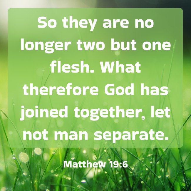 So they are no longer two but one flesh. What therefore God has joined together, let not man separate. - Matthew 19:6
