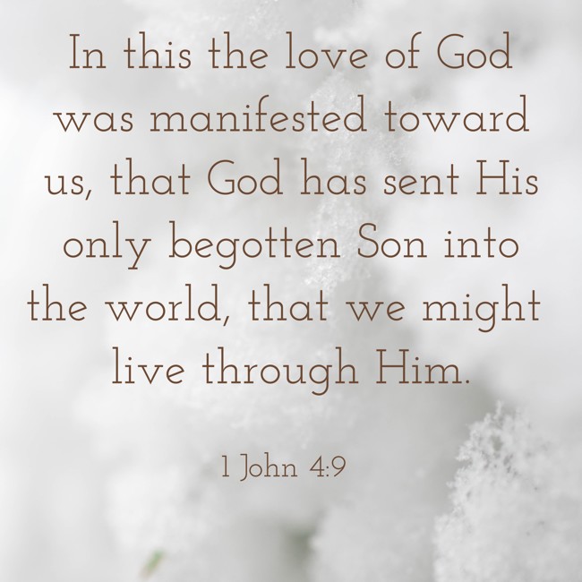 In this the love of God was manifested toward us, that God has sent His only begotten Son into the world, that we might live through Him. - 1 John 4:9