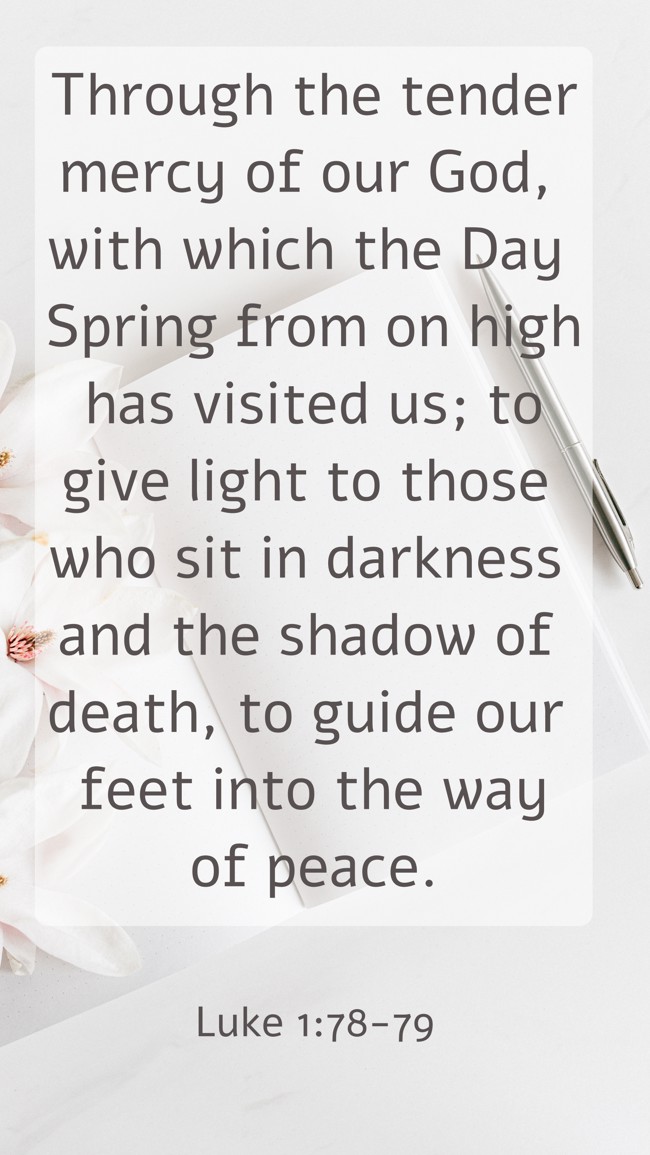 Through the tender mercy of our God, with which the Day Spring from on high has visited us; to give light to those who sit in darkness and the shadow of death, to guide our feet into the way of peace. - Luke 1:78-79