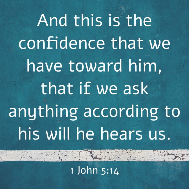 And this is the confidence that we have toward him, that if we ask anything according to his will he hears us. - 1 John 5:14