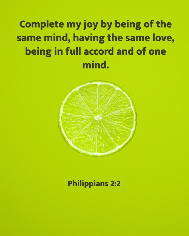 Complete my joy by being of the same mind, having the same love, being in full accord and of one mind. - Philippians 2:2