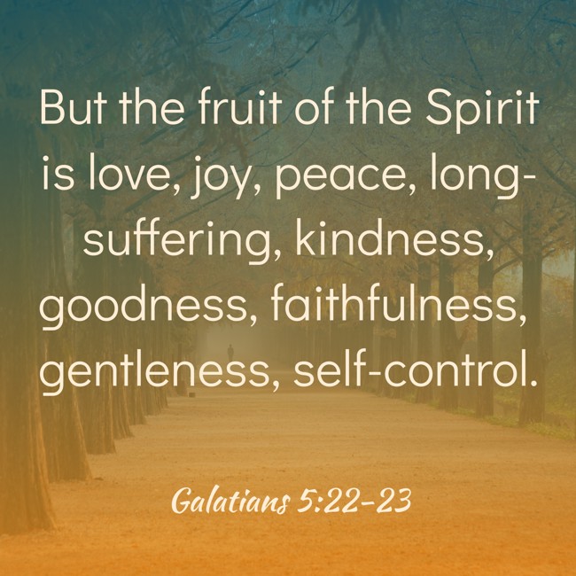 But the fruit of the Spirit is love, joy, peace, long-suffering, kindness, goodness, faithfulness, gentleness, self-control. - Galatians 5:22-23