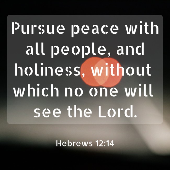 Pursue peace with all people, and holiness, without which no one will see the Lord. - Hebrews 12:14