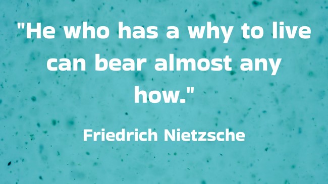 He who has a why to live can bear almost any how. - Friedrich Nietzsche