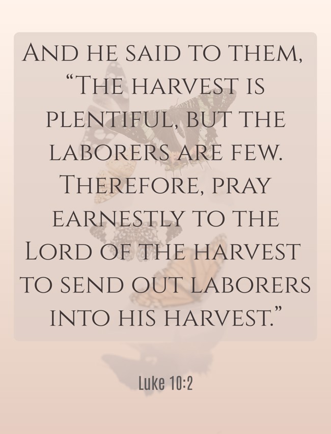  And he said to them, “The harvest is plentiful, but the laborers are few. Therefore, pray earnestly to the Lord of the harvest to send out laborers into his harvest.”   - Luke 10:2 