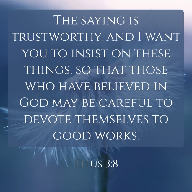  The saying is trustworthy, and I want you to insist on these things, so that those who have believed in God may be careful to devote themselves to good works.   - Titus 3:8 