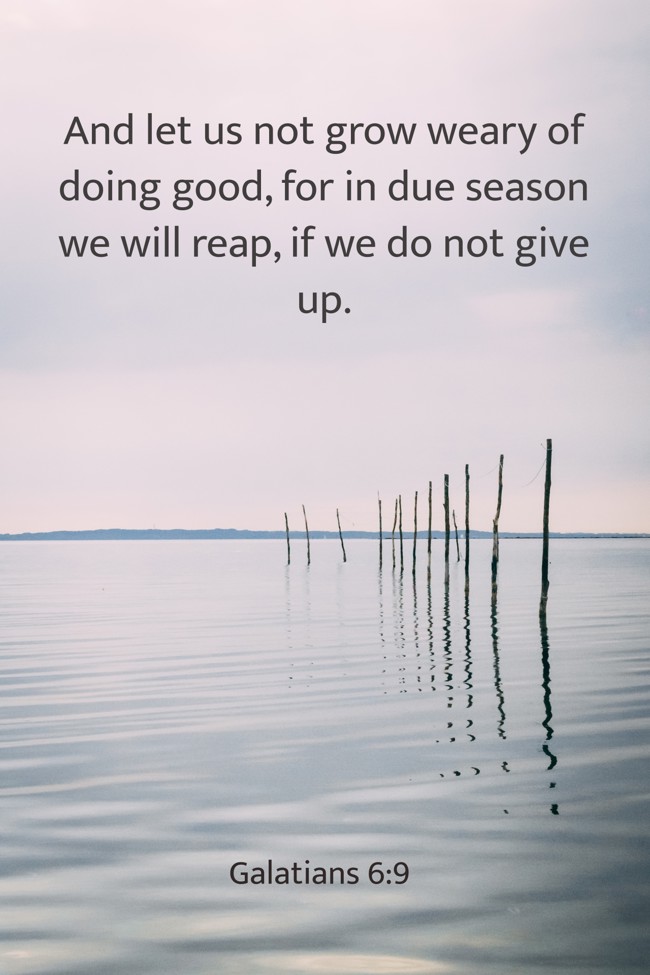  And let us not grow weary of doing good, for in due season we will reap, if we do not give up.   - Galatians 6:9 