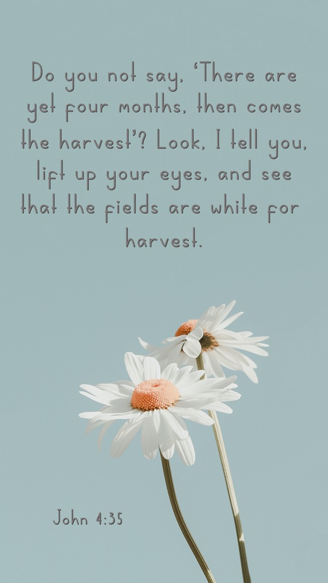  Do you not say, ‘There are yet four months, then comes the harvest’? Look, I tell you, lift up your eyes, and see that the fields are white for harvest.   - John 4:35 