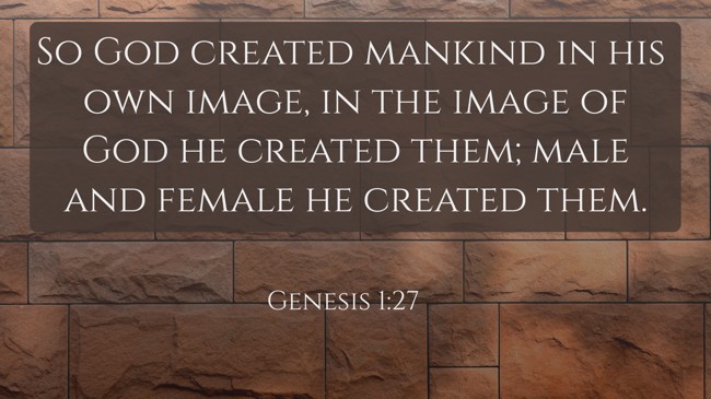 So God created mankind in his own image, in the image of God he created them; male and female he created them. - Genesis 1:27