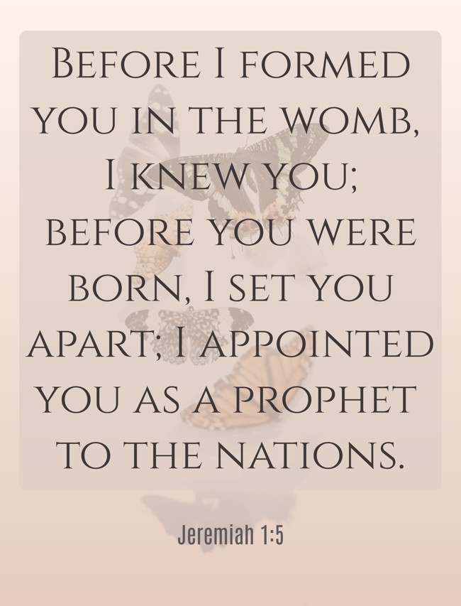 Before I formed you in the womb, I knew you; before you were born, I set you apart; I appointed you as a prophet to the nations. - Jeremiah 1:5