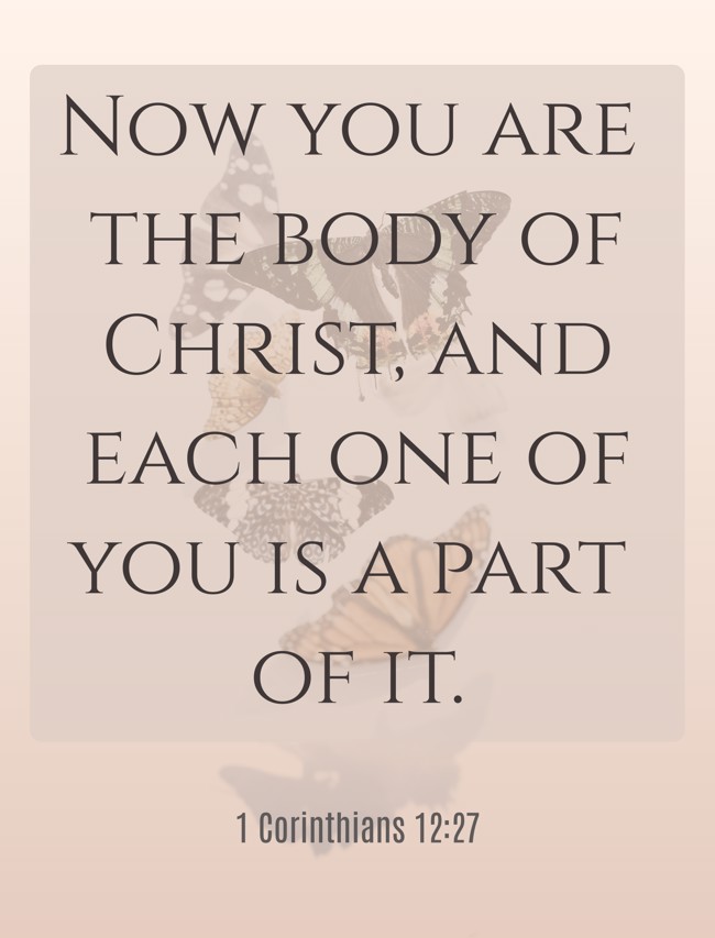 Now you are the body of Christ, and each one of you is a part of it. - 1 Corinthians 12:27