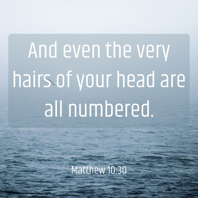 And even the very hairs of your head are all numbered. - Matthew 10:30