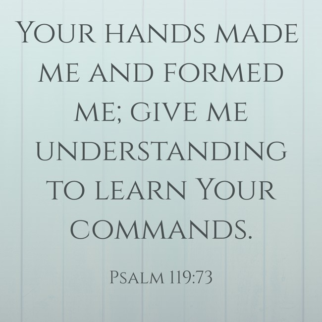 Your hands made me and formed me; give me understanding to learn Your commands. - Psalm 119:73