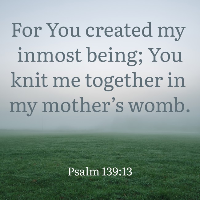 For You created my inmost being; You knit me together in my mother’s womb. - Psalm 139:13