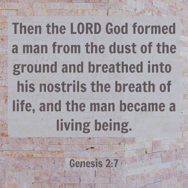 Then the LORD God formed a man from the dust of the ground and breathed into his nostrils the breath of life, and the man became a living being. - Genesis 2:7