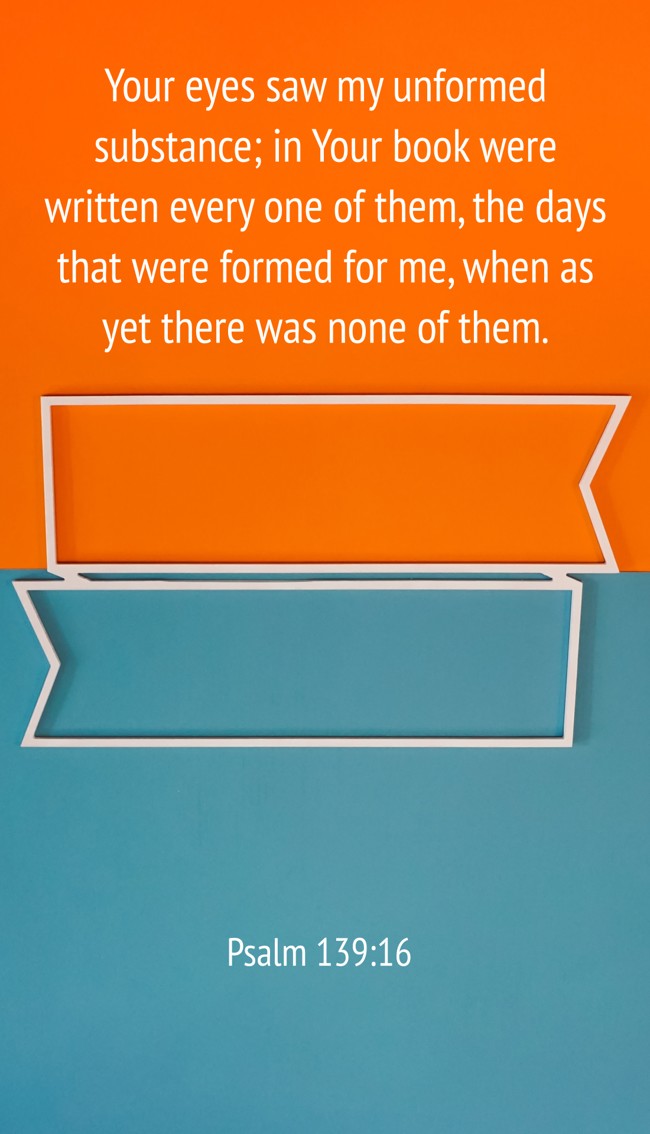 Your eyes saw my unformed substance; in Your book were written every one of them, the days that were formed for me, when as yet there was none of them. - Psalm 139:16