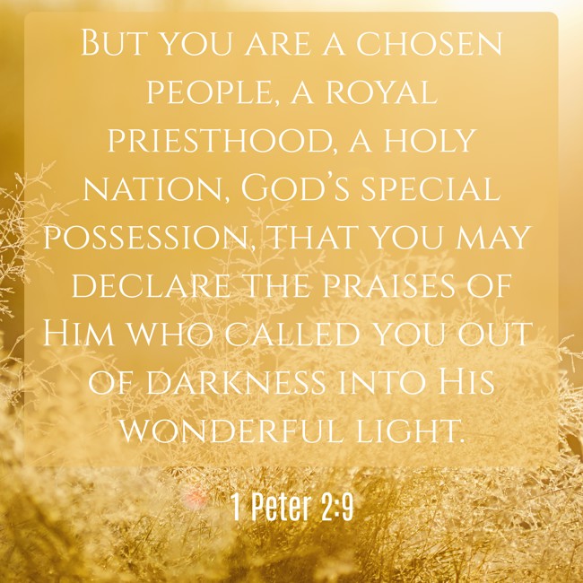 But you are a chosen people, a royal priesthood, a holy nation, God’s special possession, that you may declare the praises of Him who called you out of darkness into His wonderful light. - 1 Peter 2:9